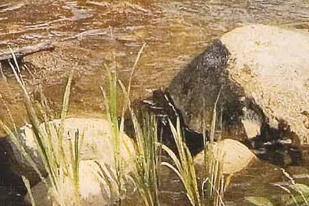 Фрагмент Ручей. 1885.