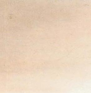 Фрагмент Сакура в цвету в розовых тонах