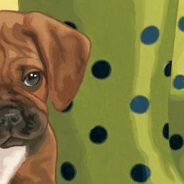 Фрагмент Сапоги в горошек