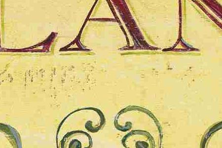 Фрагмент SAUVIGNON BLANC