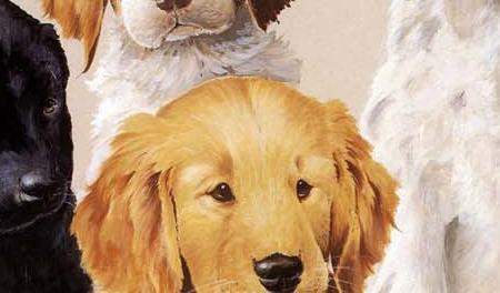 Фрагмент School Daze