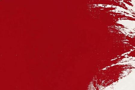 Фрагмент SELF-PORTRAIT красно белый