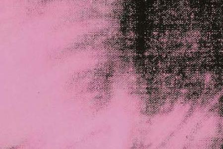 Фрагмент Self-Portrait ярко розовый