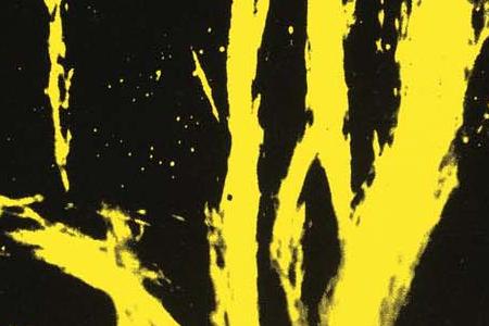 Фрагмент SELFPORTRAITS ярко желтый