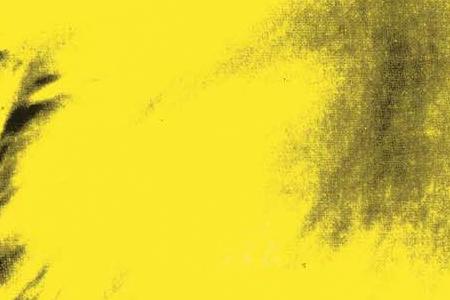 Фрагмент SELFPORTRAITS ярко желтый