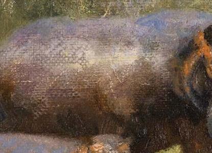 Фрагмент Семейство Гиппо