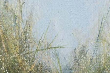 Фрагмент Семейство Гиппо