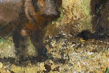 Фрагмент Семейство Гиппо