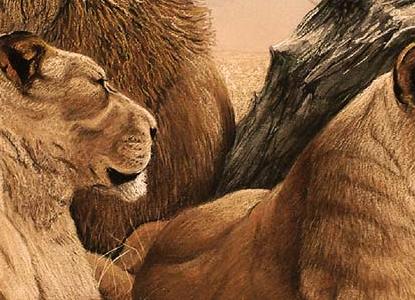 Фрагмент Семья львов, фрагмент