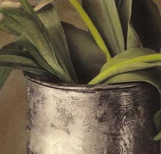 Фрагмент Серебрянная баночка с тюльпанами