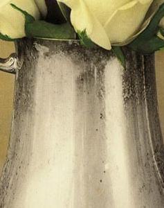 Фрагмент Серебрянный графин с розами