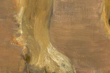 Фрагмент Северный пес