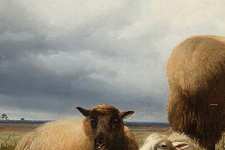 Фрагмент Sheep at rest in a landscape