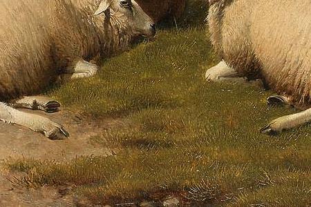 Фрагмент Sheep at rest in a landscape