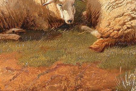 Фрагмент Sheep in the highlands