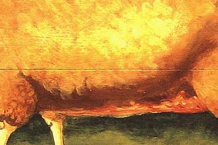 Фрагмент SHEEP