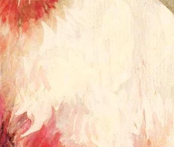 Фрагмент Siamese cat