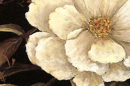 Фрагмент Silver Peony