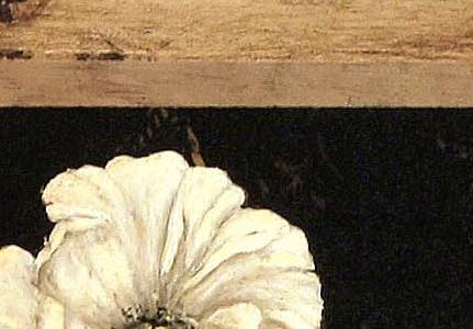 Фрагмент Silver Poppy