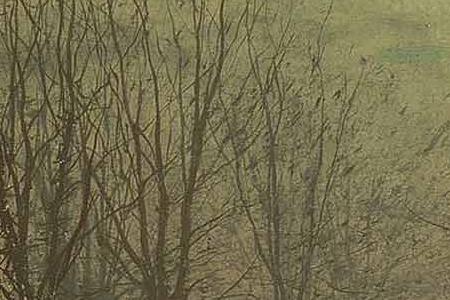 Фрагмент Silvery moonlight