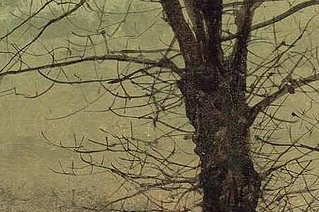 Фрагмент Silvery moonlight