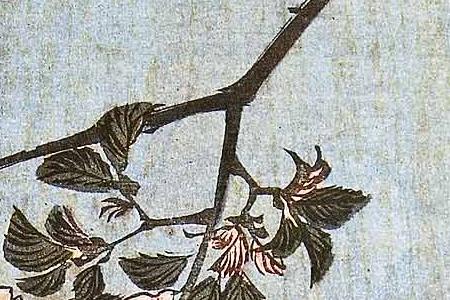 Фрагмент Синтоистский храм Суйдзин в районе Массаки на берегу реки Сумидагава.1856.