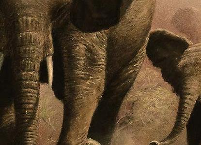 Фрагмент Слон и слоненок