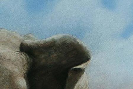 Фрагмент Слон и слоненок