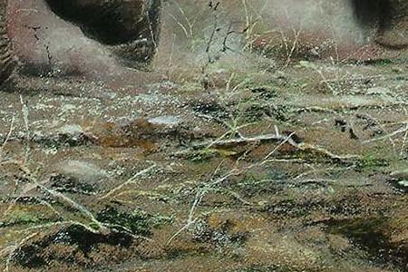 Фрагмент Слон и слоненок