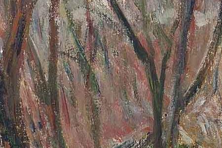 Фрагмент Снег в Копенгагене