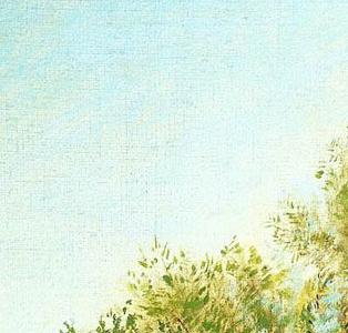 Фрагмент Солнечный день