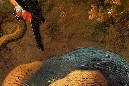 Фрагмент Soo gebeck Soo gesongen A peacock lark crow stilt peahen heron owl parakeet