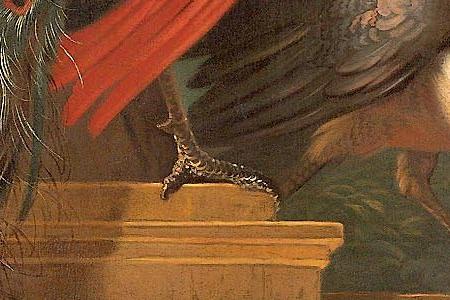 Фрагмент Soo gebeck Soo gesongen A peacock lark crow stilt peahen heron owl parakeet