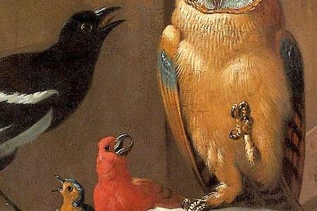 Фрагмент Soo gebeck Soo gesongen A peacock lark crow stilt peahen heron owl parakeet