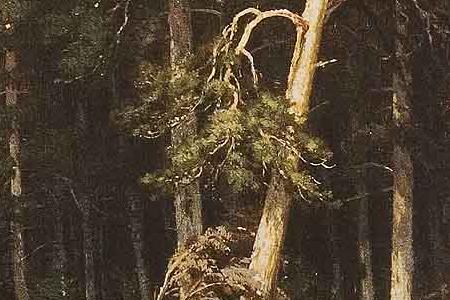 Фрагмент Сосновый бор. Мачтовый лес в Вятской губернии. 1872.