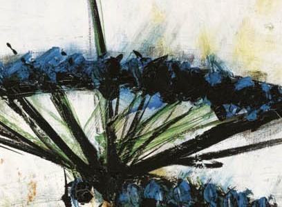 Фрагмент SOUCIS ET OMBELLES