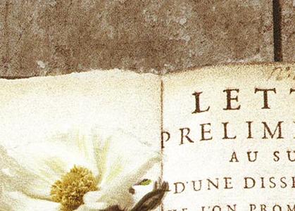 Фрагмент Стариная книга с белыми цветами