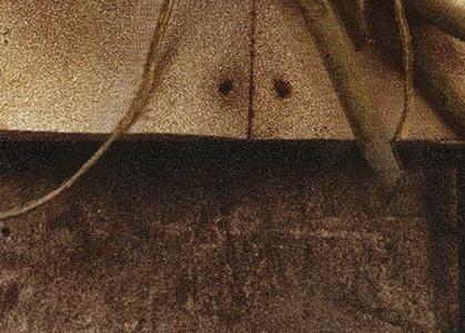 Фрагмент Стариная книга с белыми цветами