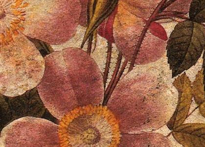 Фрагмент Старинная композиция из розовых цветов от Памелы