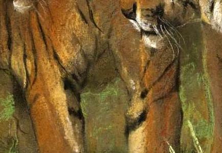 Фрагмент STARTLED