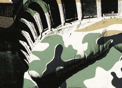 Фрагмент STATUE OF LIBERTY цвета хакки