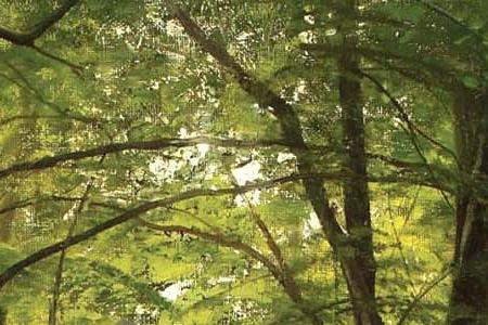 Фрагмент stream through the woods