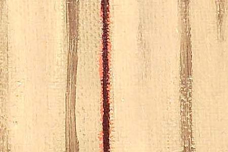 Фрагмент Study for Ritual Dances