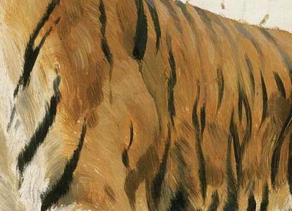 Фрагмент STUDY OF A TIGER