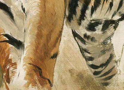 Фрагмент STUDY OF A TIGER