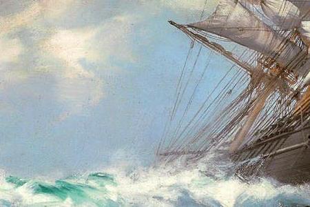 Фрагмент Sunflecked Foam--20 x