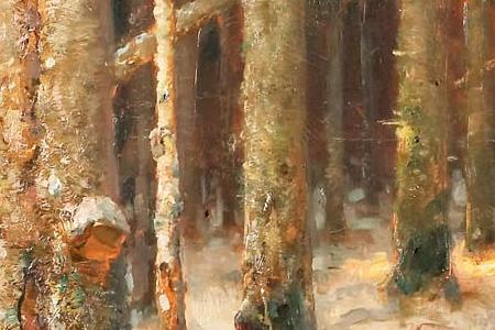 Фрагмент Sunset in the forest