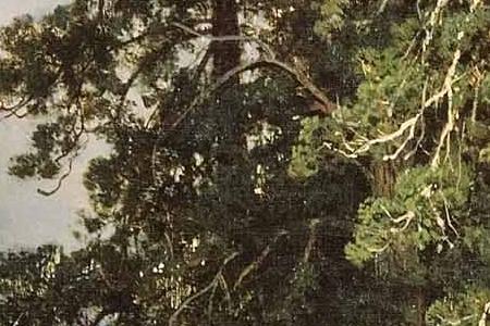 Фрагмент Святой ключ близ Елабуги. 1886.