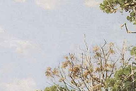 Фрагмент Святой ключ близ Елабуги.1886.