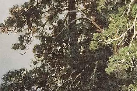 Фрагмент Святой ключ близ Елабуги.1886.